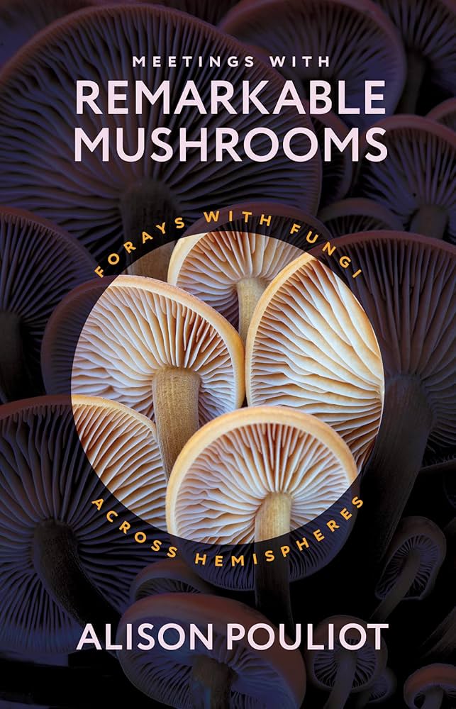 Meetings with Remarkable Mushrooms: Forays with Fungi across
